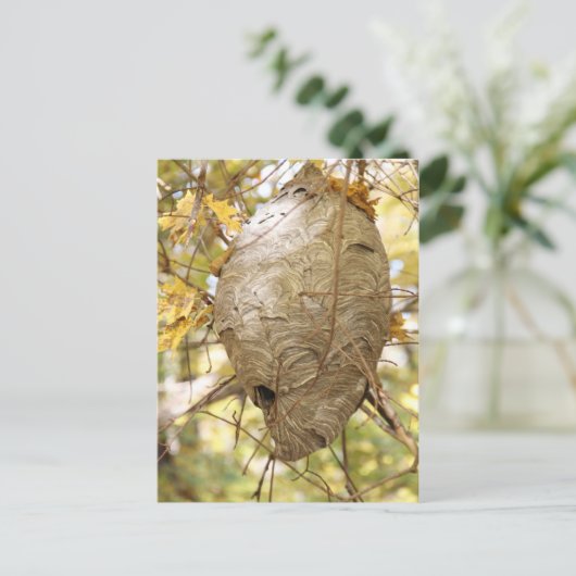 スズメバチ ポストカード (スタンド正面)