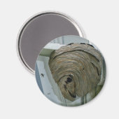 スズメバチ マグネット (正面/裏面)