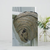 スズメバチ 便箋 (スタンド正面)