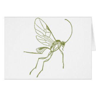 スズメバチ、MeteorusのHyphantria