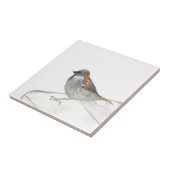 スズメ鳥野生生物水彩自然かわいい タイル (側面)