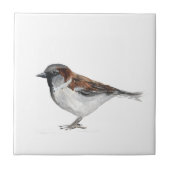 スズメ鳥野生生物水彩自然かわいい タイル (正面)