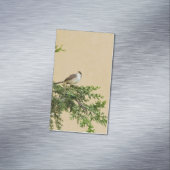 スズメ マグネット名刺 (インサイチュ)