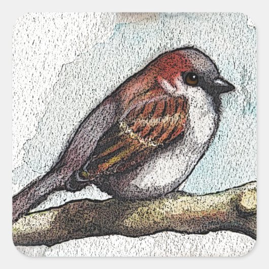 スズメ：鳥、水色、石、岩 スクエアシール (正面)