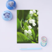 スズラン チラシ (シングル)