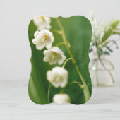 スズラン（Convallaria majalis） カード (スタンド正面)