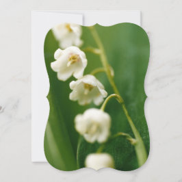 スズラン（Convallaria majalis） カード