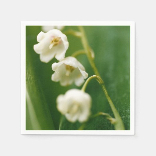 スズラン (Convallaria majalis)  スタンダードカクテルナプキン (正面)