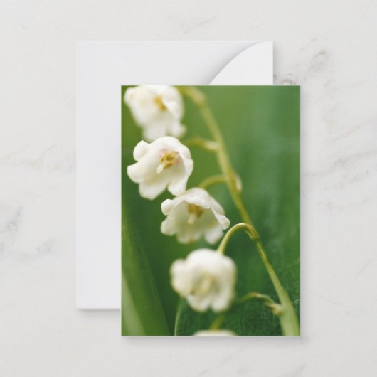 スズラン（Convallaria majalis） ノートカード (正面)