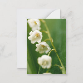 スズラン（Convallaria majalis） ノートカード