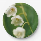 スズラン (Convallaria majalis)  ペーパープレート (正面)