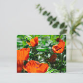 スタイリッシュな赤いポピー花の庭 ポストカード (スタンド正面)