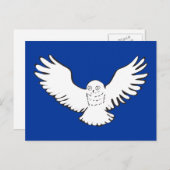 スタイリッシュな飛べる雪のオオワシ ポストカード (正面/裏面)