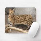 スタイリッシュな、機能アフリカのサーバル マウスパッド (マウス)