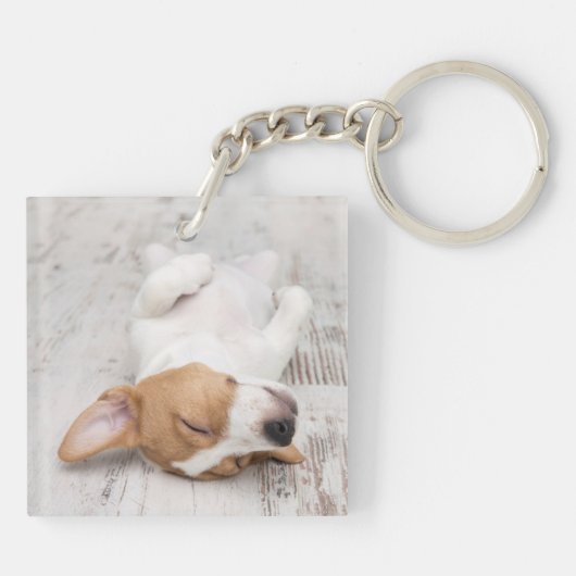 スタイリッシュシンプルモダン犬の名前2 Photo キーホルダー (裏面)