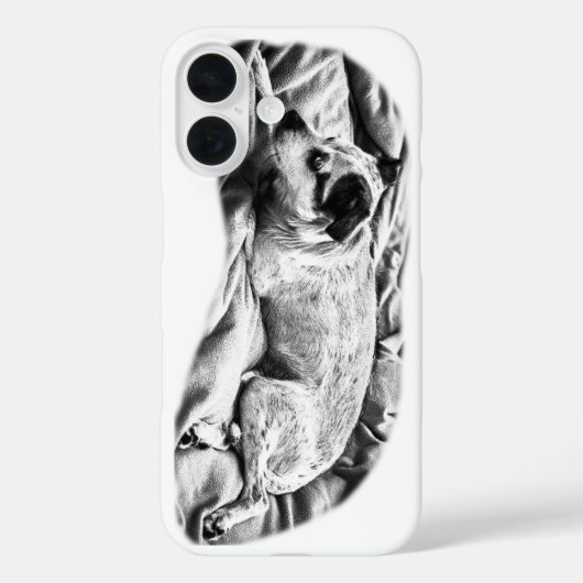 スタイリッシュテリアスタディ、冬の装い Case-Mate iPhoneケース (裏面)