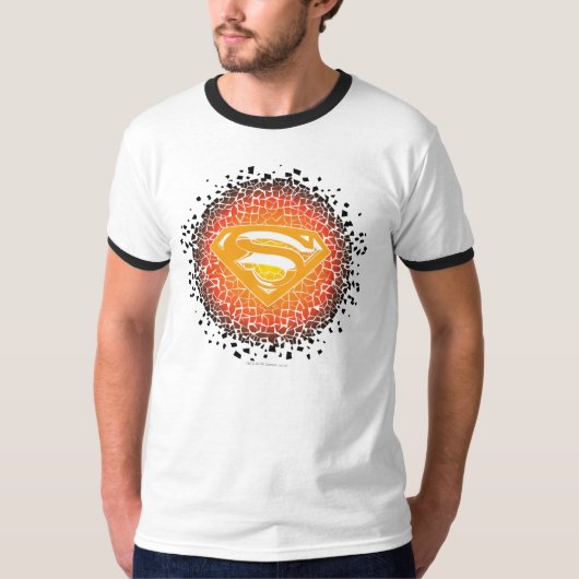 スタイルすごい化された人 |クラックルロゴ Tシャツ (正面)
