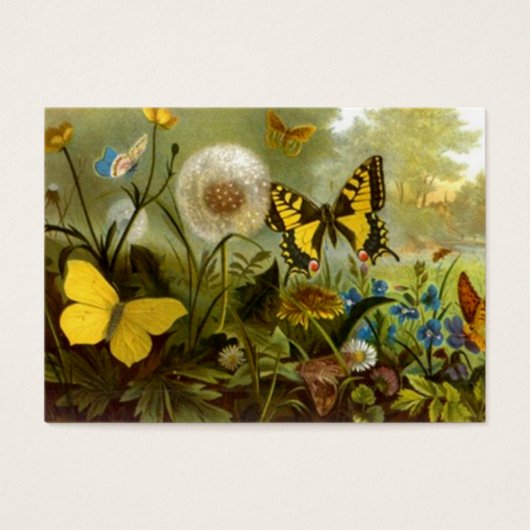 スタイルビクトリアンギフトラベル~蝶蝶 (正面)