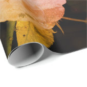 スタイル素朴フローラブロッサムフォトラッピング紙 ラッピングペーパー (ロールコーナー)