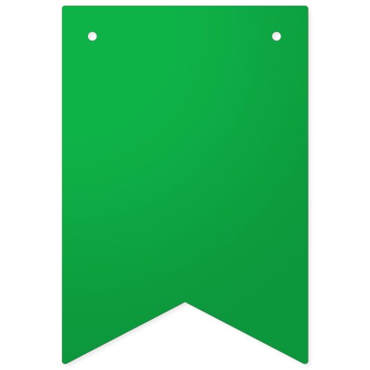 スタイル: パーティーの旗布の旗の生命はパーティーです、従って割り当てて下さい バンティングフラッグ (第2の旗)