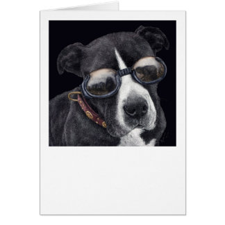 "スタイル" - Bully Mix