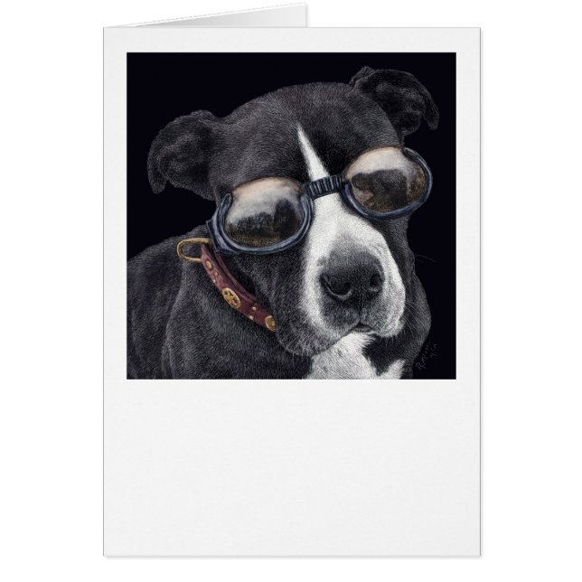 "スタイル" - Bully Mix (正面)