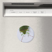 スタインアイマグネット マグネット (インサイチュ (食洗機))