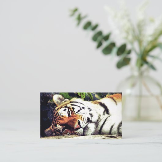 スタイントラ 名刺 (スタンド正面)