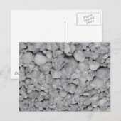 スタイン ポストカード (正面/裏面)