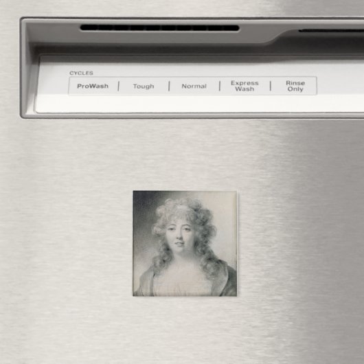 スタエル夫人1810 マグネット (インサイチュ (食洗機))