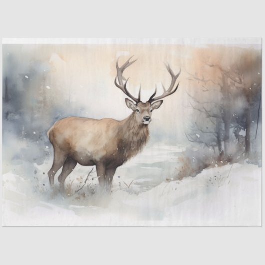 スタグインスノー3デクページ紙 薄葉紙 (正面)