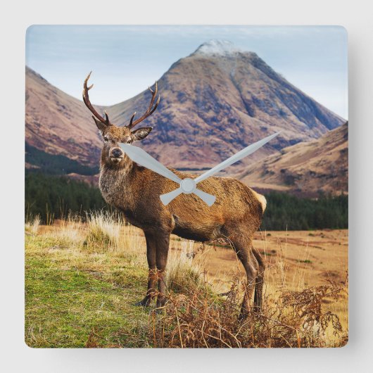 スタグウォールクロック スクエア壁時計 (正面)