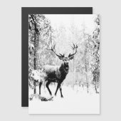 スタグディアウィンターフォレスト野生動物自然アート (正面/裏面)