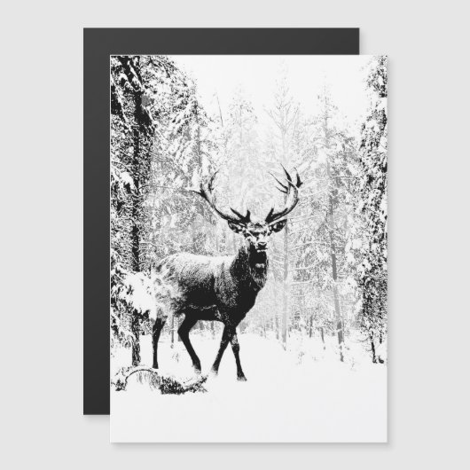 スタグディアウィンターフォレスト野生動物自然アート (正面/裏面)