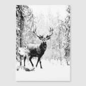 スタグディアウィンターフォレスト野生動物自然アート (正面)