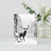 スタグディアウィンターフォレスト野生動物自然アート ポストカード (スタンド正面)
