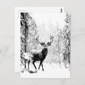 スタグディアウィンターフォレスト野生動物自然アート ポストカード (正面/裏面)