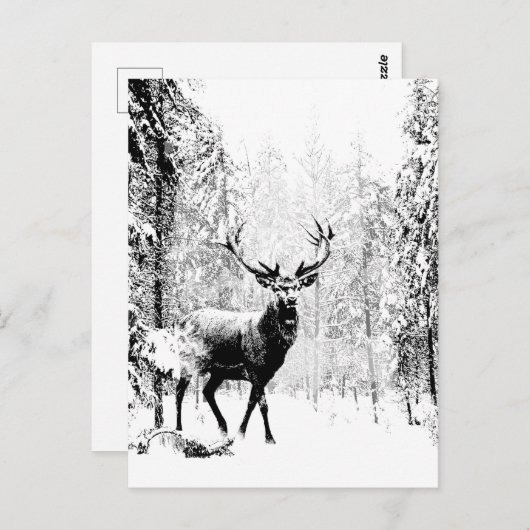 スタグディアウィンターフォレスト野生動物自然アート ポストカード (正面/裏面)