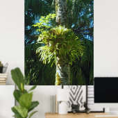 スタグホルンシダ ポスター (ホームオフィス)