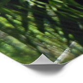 スタグホルンシダ ポスター (角)