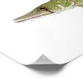 スタグボンズ・フィッシュキャンプ ポスター (角)