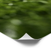 スタジアムのライトの下の芝生の上のサッカーボール – ポスター (コーナー)