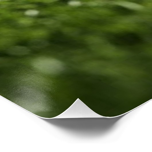 スタジアムのライトの下の芝生の上のサッカーボール –  ポスター (コーナー)