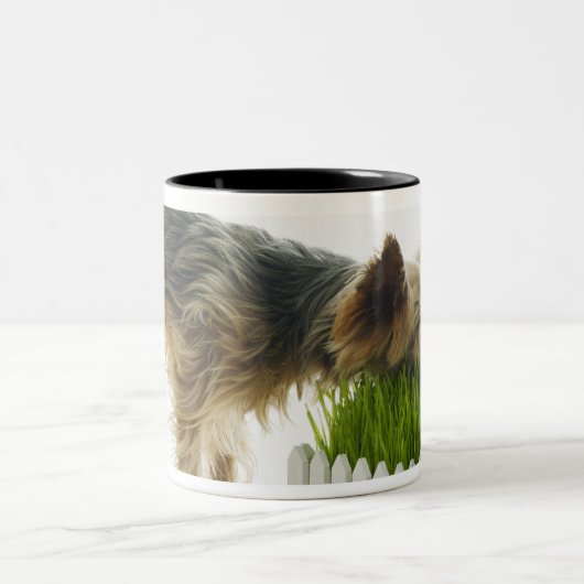 スタジオで撃たれる犬のくんくんかぐ隣人のヤード ツートーンマグカップ (中央)