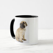 スタジオに坐っているグレートデーンの子犬 マグカップ (正面左)