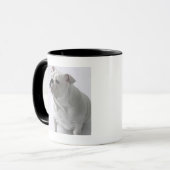 スタジオに坐っている白い英国のブルドッグ マグカップ (正面左)