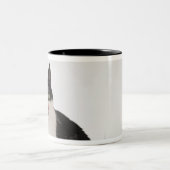 スタジオはギフト用の箱の白黒猫の撃ちました ツートーンマグカップ (中央)