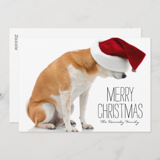 スタジオはサンタの帽子を身に着けている柴犬犬の撃ちました シーズンカード (正面/裏面)