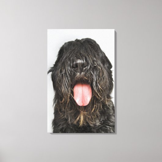 スタジオショット キャンバスプリント (正面)