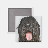 スタジオショット マグネット (正面/裏面)